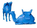 Camels-4