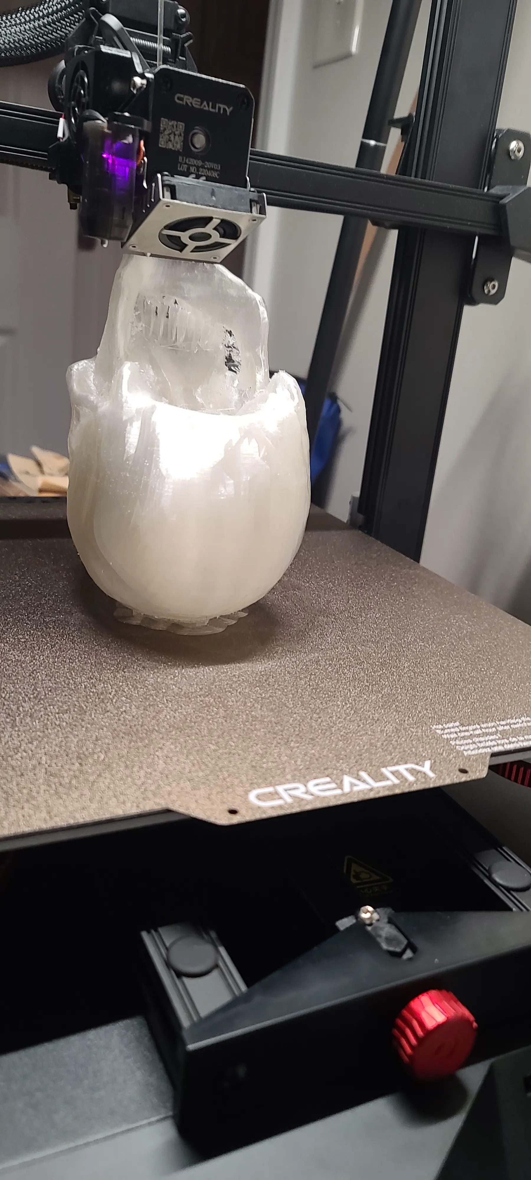 Skull Imported from Microsoft 3D Builder
