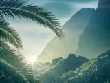 Nature -0