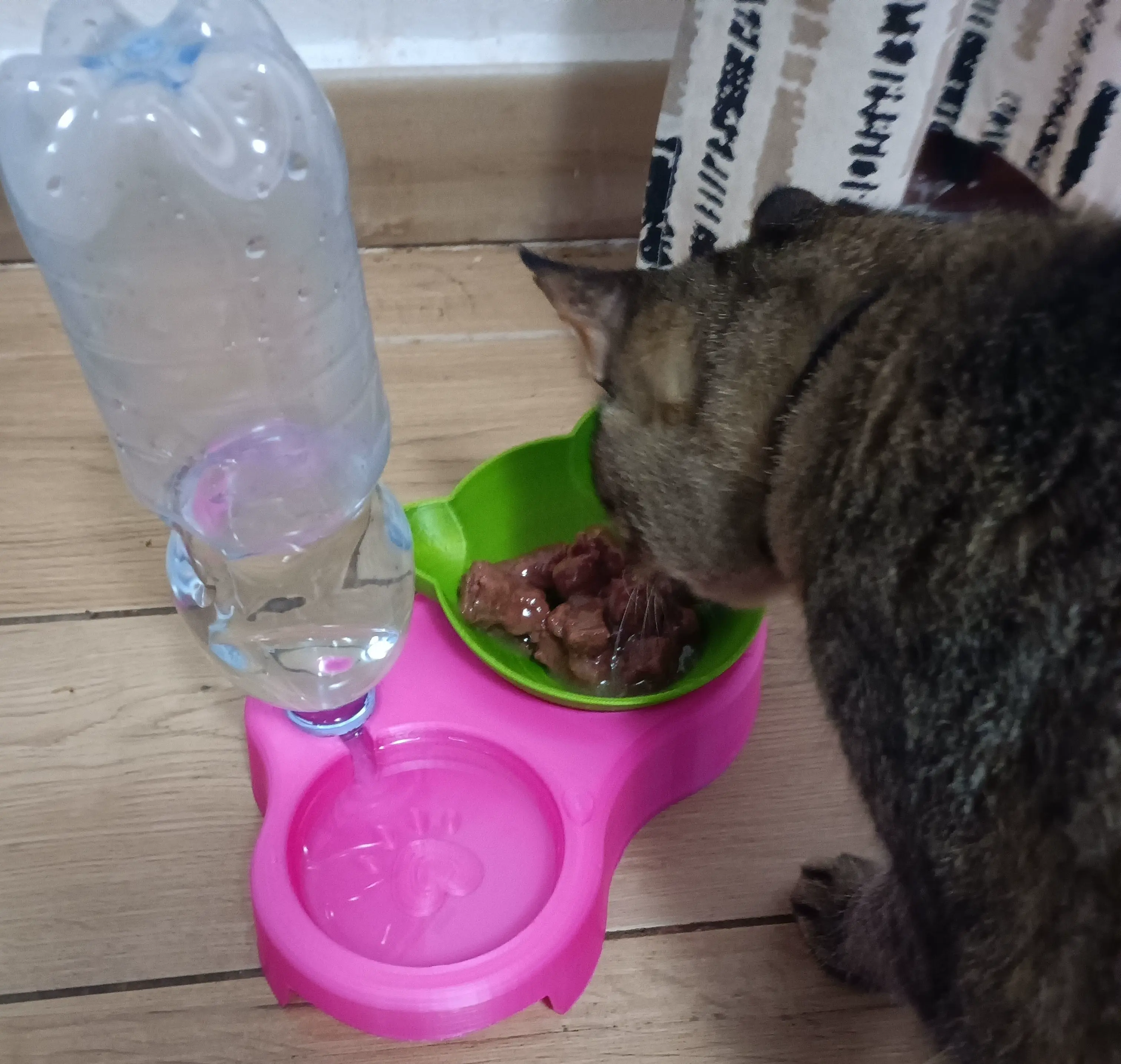 Cat bowl with drinker