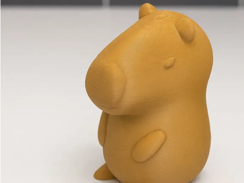 Cute Capybara