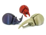 Happy Beetles-7