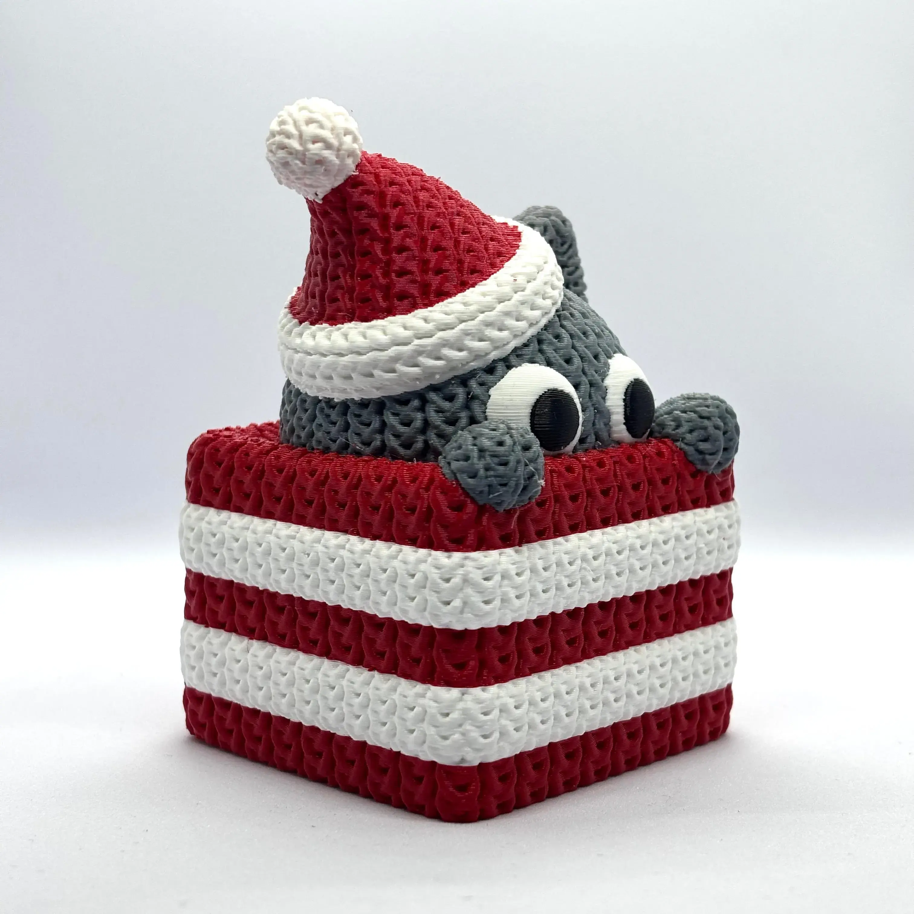 Knitted Cat Gift Box