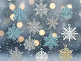 Kit de copos de nieve 1-1