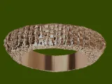 Crocodile Skin Ring-8