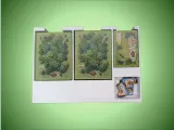 Black Forest Board Game Organizer | Insert | Premium-7