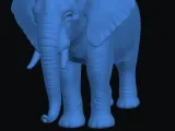 Elephant -1