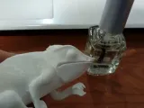 Chameleon (Nylon filament)-2
