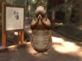 Hamster-2