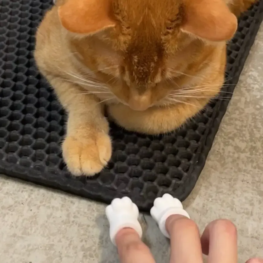 Finger Cat Paw