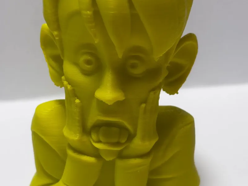 Busto de Macaulay Culkin em Esqueceram de Mim