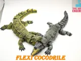 cocodrilo flexi-8