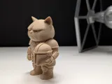 Grumpy Cat Mandalorian-8
