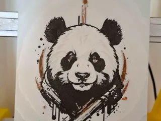 panda