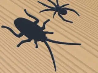 Spider and cockroach Silhouett pranks