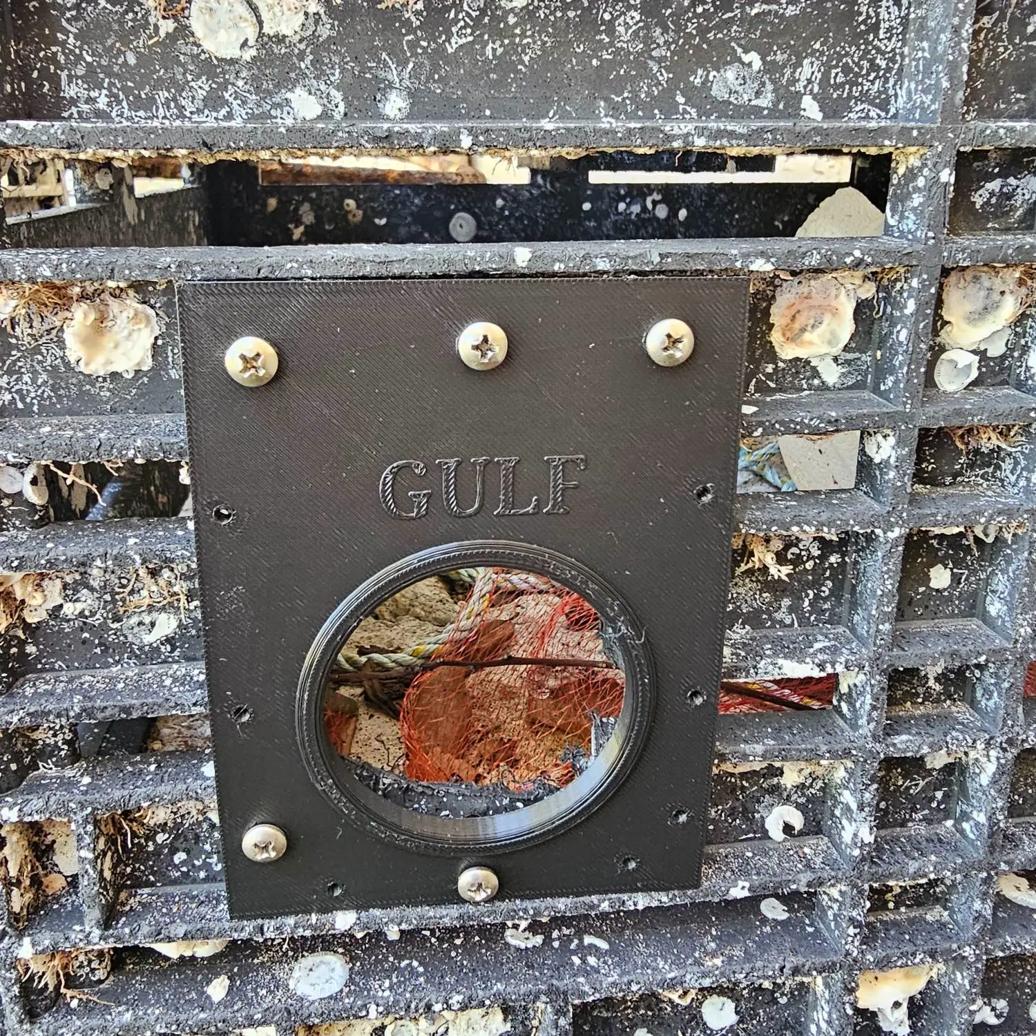 Florida Blue Crab Trap Escape Ring