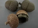 Geocaching Acorn Container-1