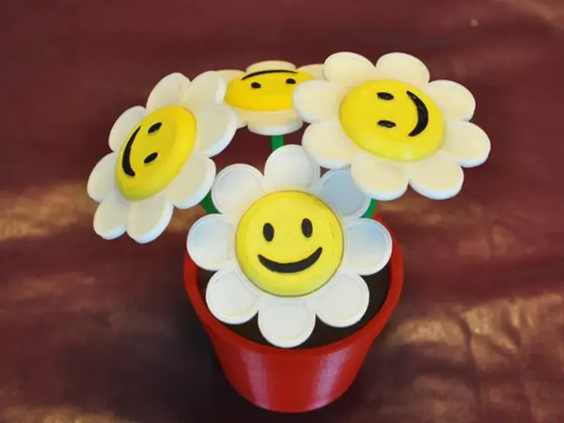 Smiley Face Flowers Pot