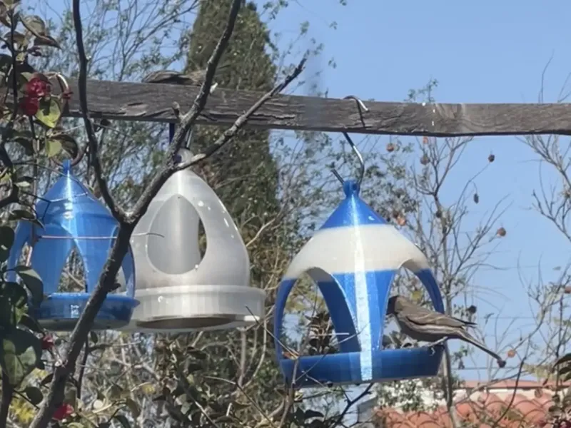 Bird Feeder (No Support)