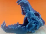 Wolf Skull-0