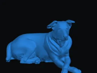 dog