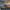 Panzer VI Tiger Ausf. E Bergetiger heavy engineering tank -