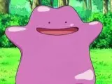 Dito bulbasaur-3