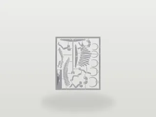 Spinosaurus Kit Card
