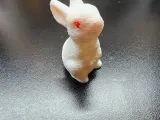 rabbit-0