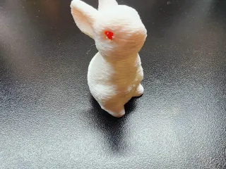 rabbit