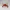 Knitted Playful Crab Pal – Noah0x03