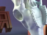 Deer Skull – Multi-Part Assembly Model-2