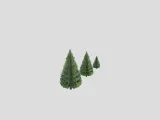 Fluffy Pine Trees-3