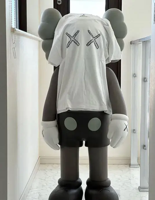 Kaws x Uniqlo Companion Fan Art Spielzeug