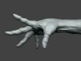 Human Hand Gesture-0