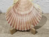 Shell Stand-2