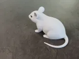 Realistic Mouse Figurine-2