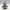 Dowser Garden Gnome