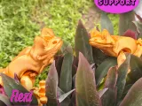 Cute Flexi Print-in-Place Frog-2