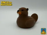 Beaver Duck-2