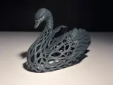 Swan-0