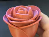 Ring Box-1