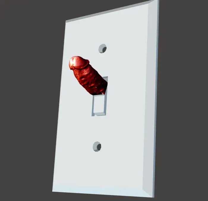 Light Switch Dick