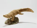 American alligators 3 poses-1