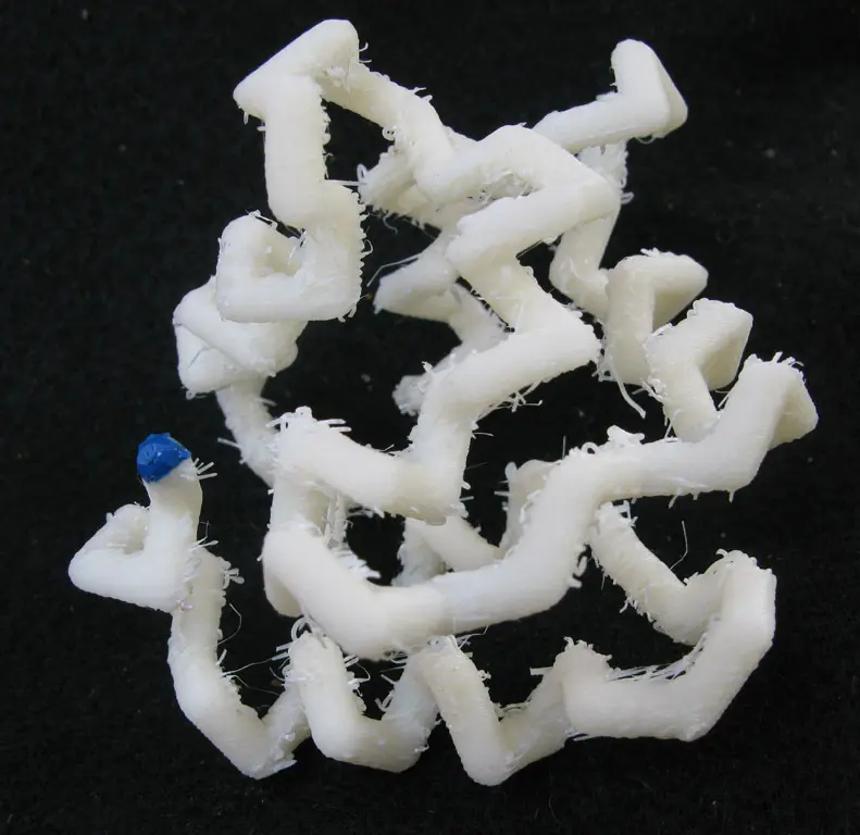 Protein Models