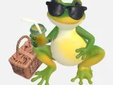 Frog Relaxing-0