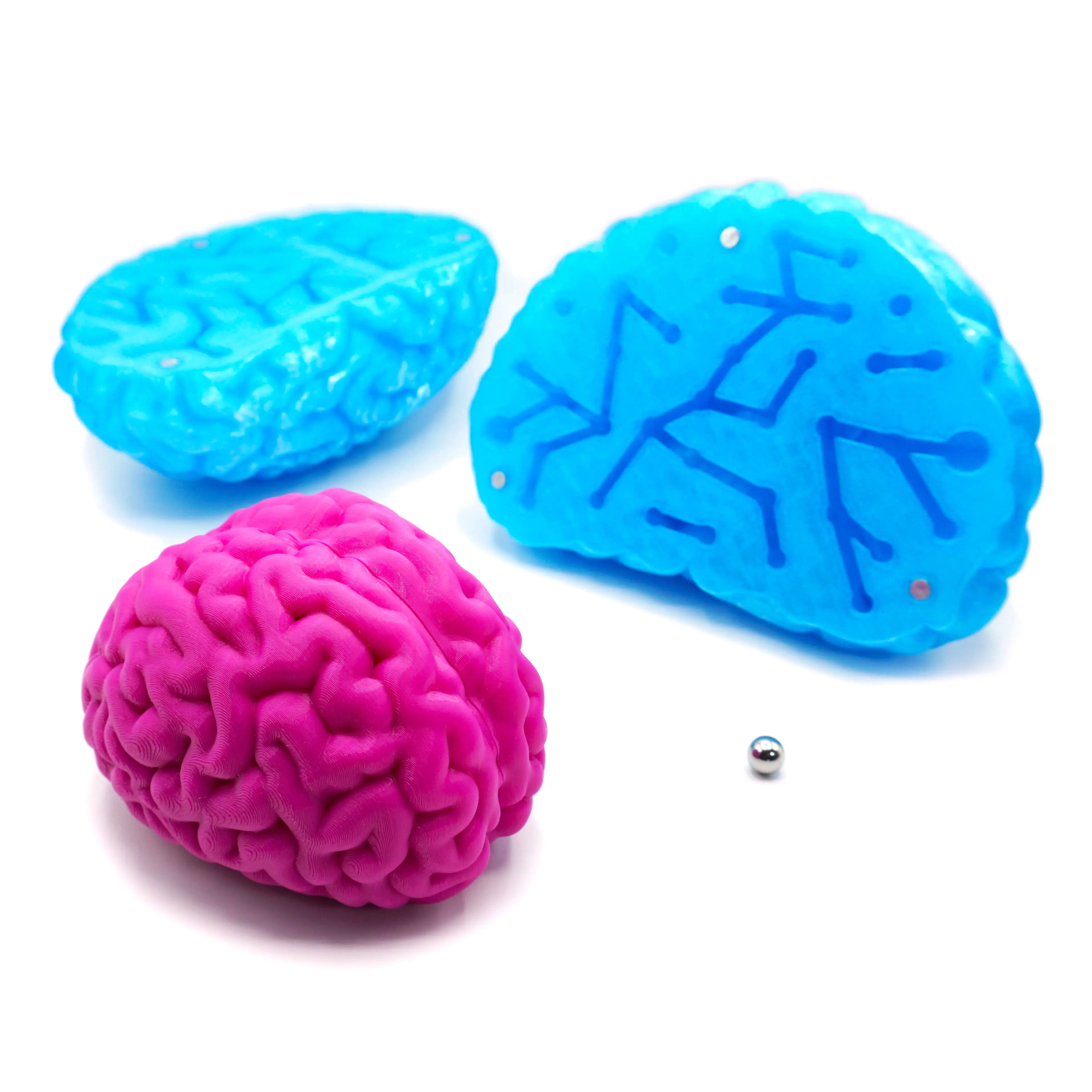 Brain Constellation Maze