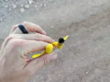 Flutterby Model Rocket-4