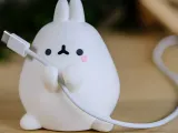 molan bunny-0