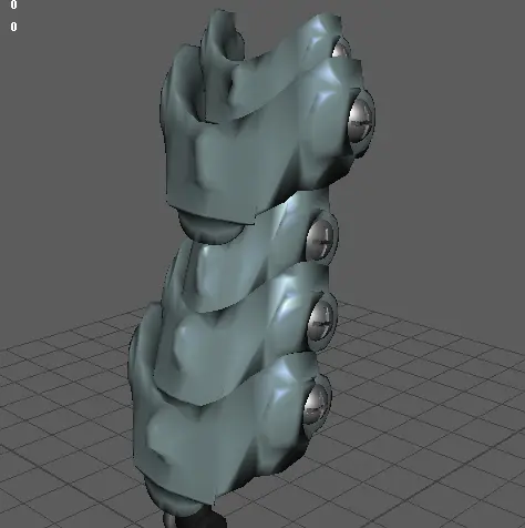 vertebrate Structure Design Model 177